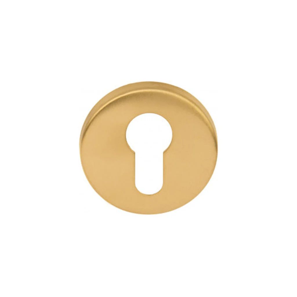 BASICS LBY50 Cylinder Key Escutcheon - Image 4