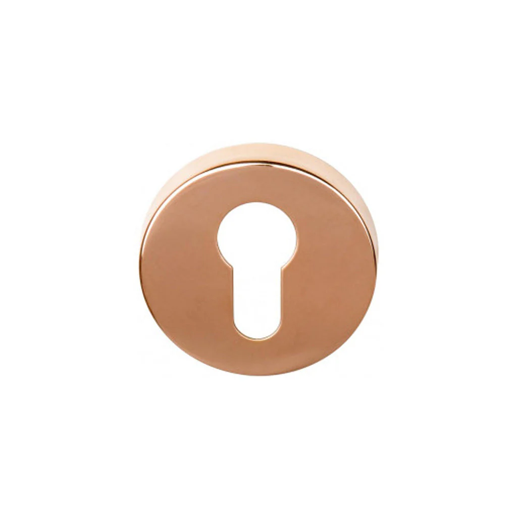 BASICS LBY50 Cylinder Key Escutcheon - Image 8