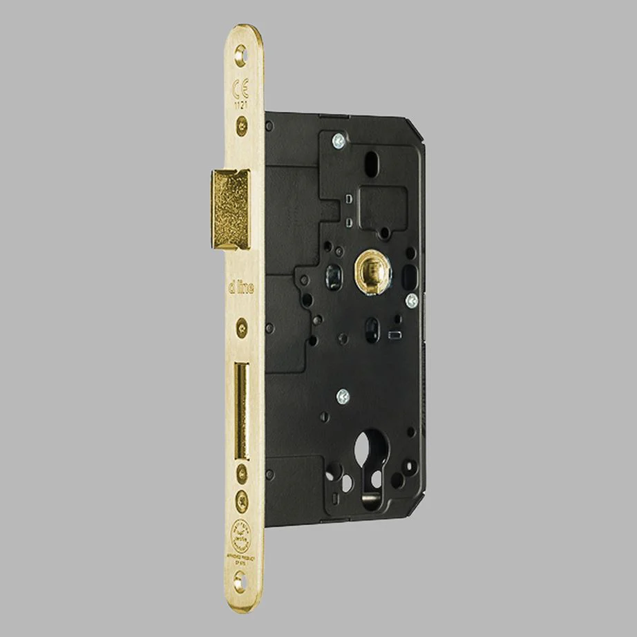 d line Euro Mortise Keyed Entry Sash Lock - Image 8